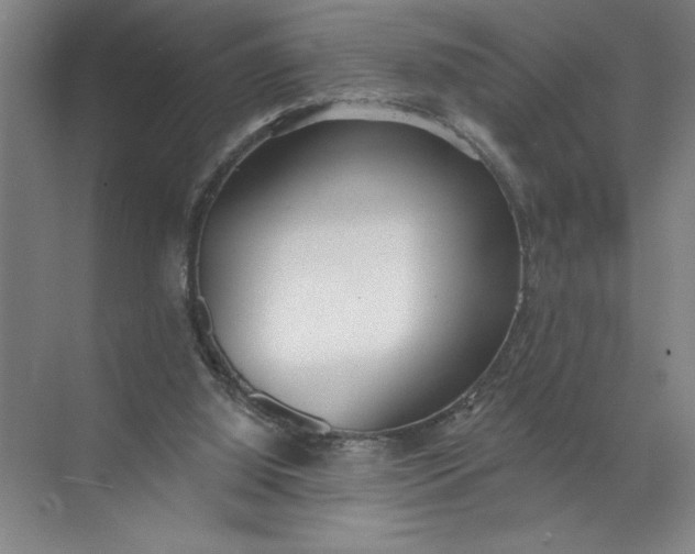 X0000072510060200607290143