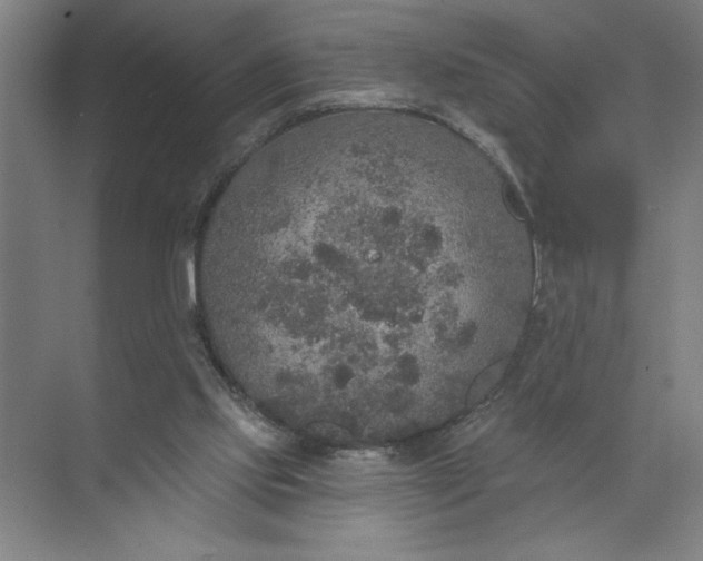 X0000072510061200607290143