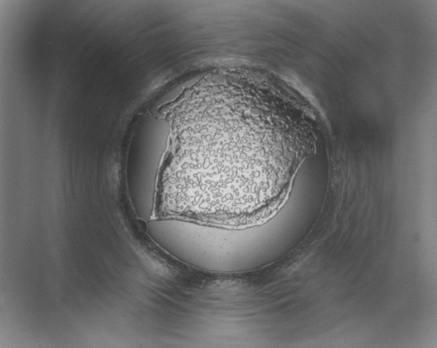 X0000072510063200607290143