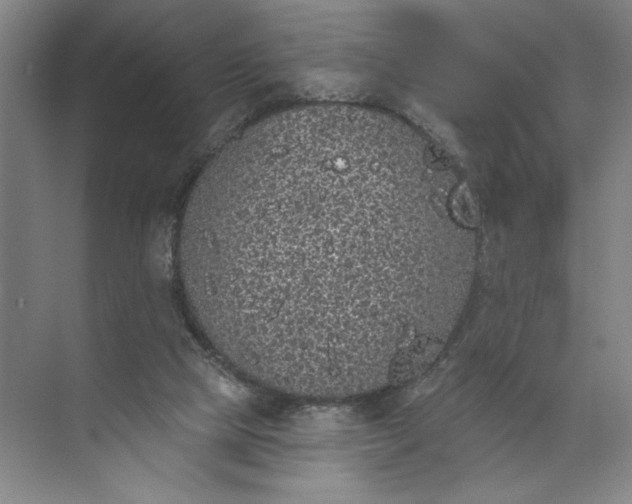 X0000072510065200607290143