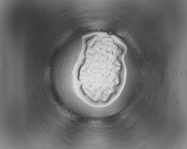 X0000072510066200607290143