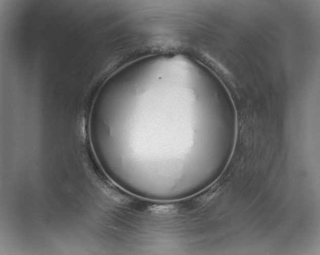 X0000072510067200607290143