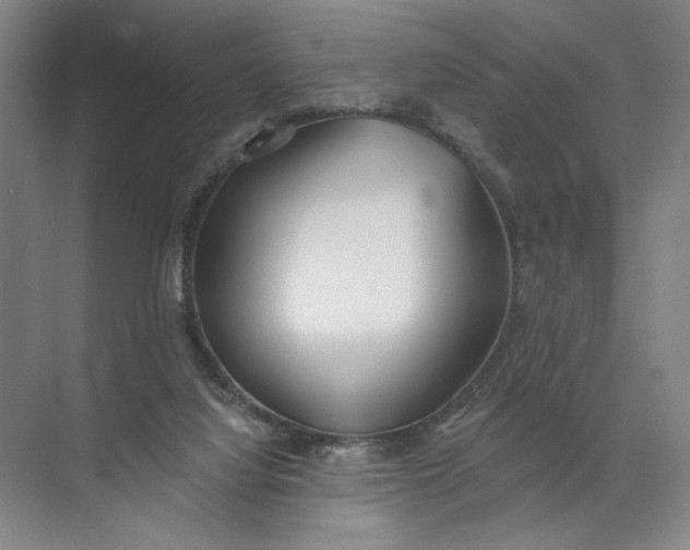 X0000072510068200607290143