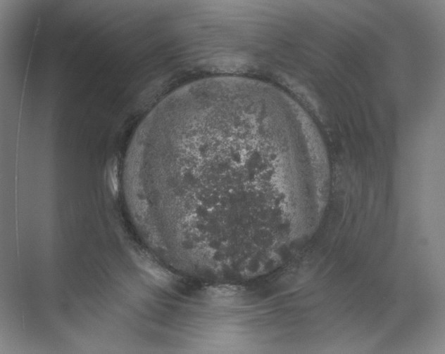 X0000072510069200607290143