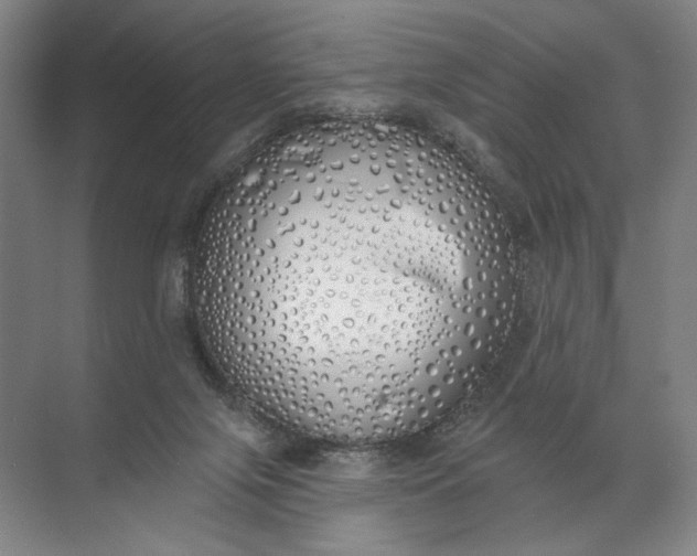 X0000072510071200607290143