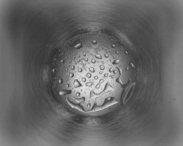 X0000072510073200607290143