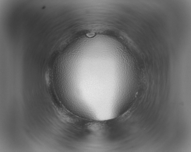 X0000072510074200607290143