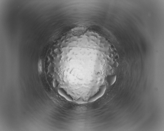 X0000072510075200607290143