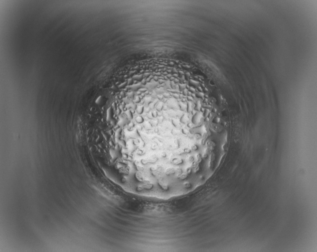 X0000072510077200607290143