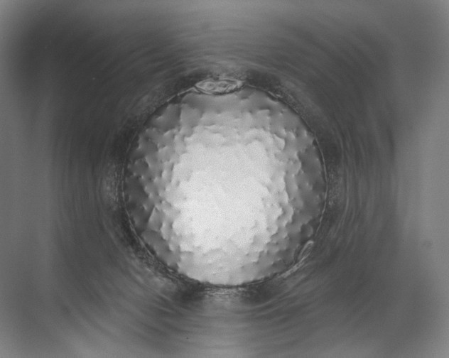 X0000072510078200607290143