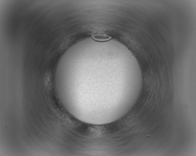 X0000072510079200607290143