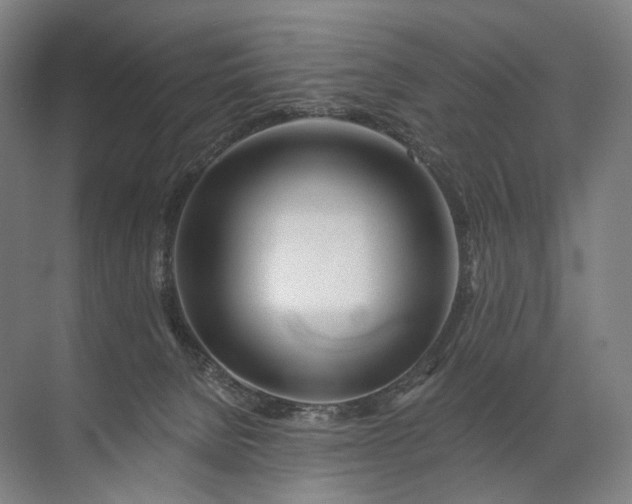 X0000072510080200607290143