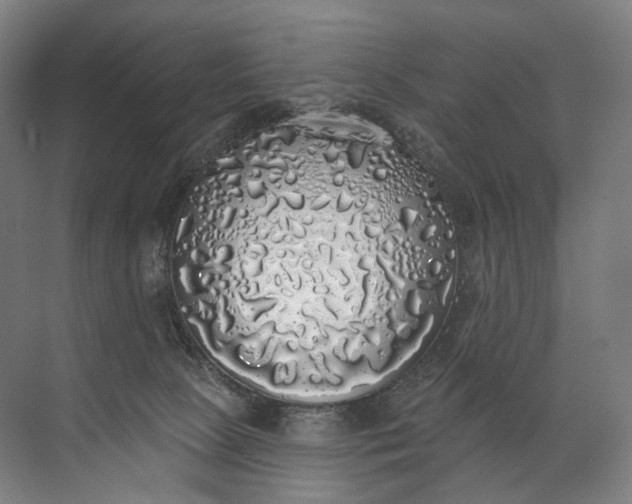 X0000072510081200607290143