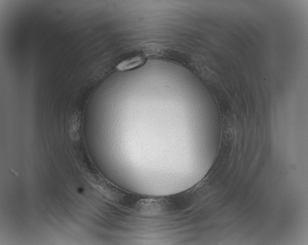 X0000072510082200607290143