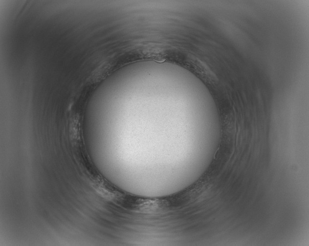 X0000072510083200607290143