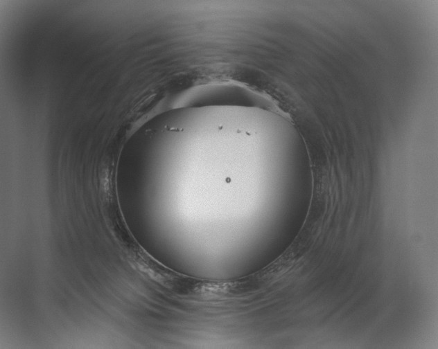 X0000072510084200607290143