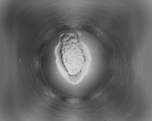 X0000072510085200607290143