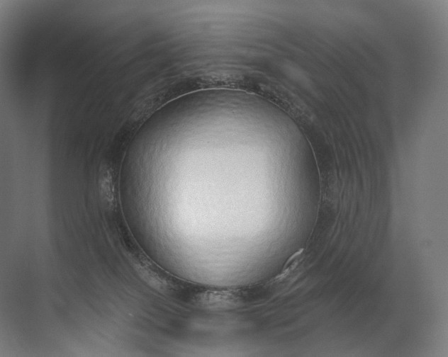 X0000072510086200607290143