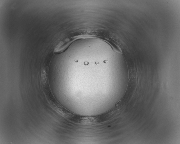 X0000072510087200607290143