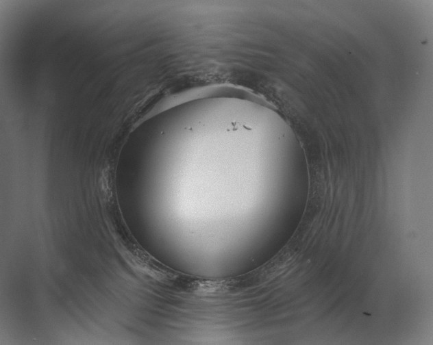 X0000072510088200607290143