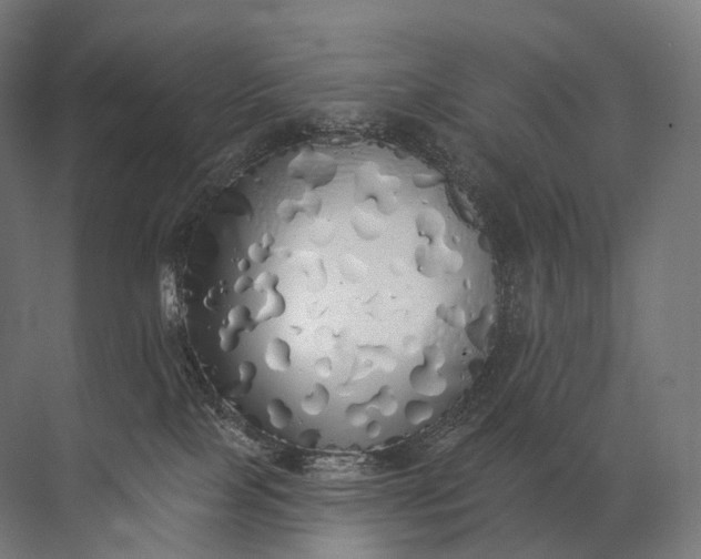 X0000072510089200607290143