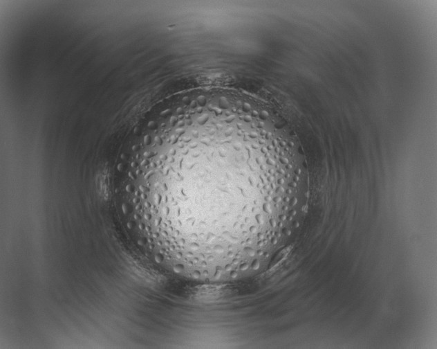 X0000072510090200607290143