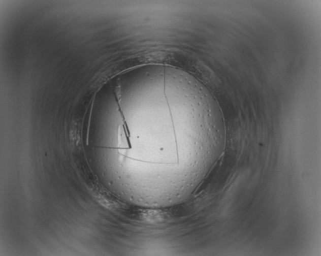 X0000072510091200607290143