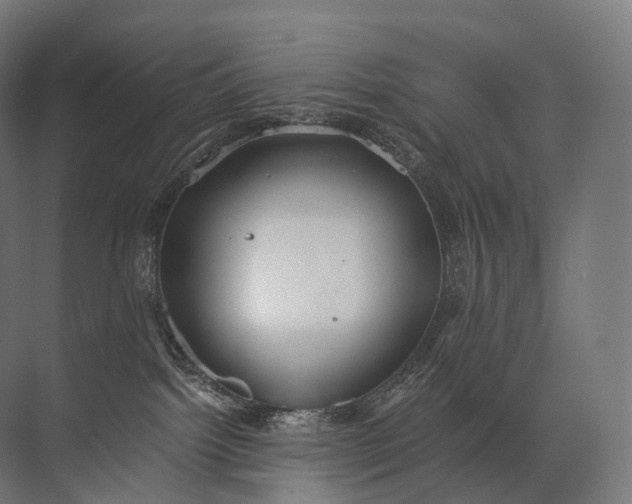 X0000072510092200607290143