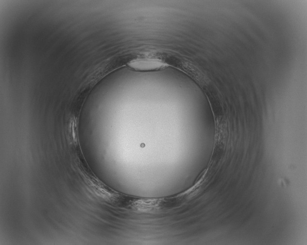 X0000072510094200607290143