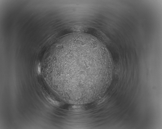 X0000072510095200607290143