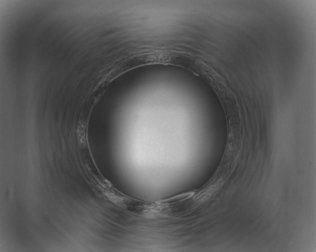 X0000072510096200607290144