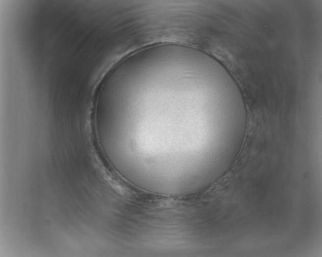 X0000072510098200607290143