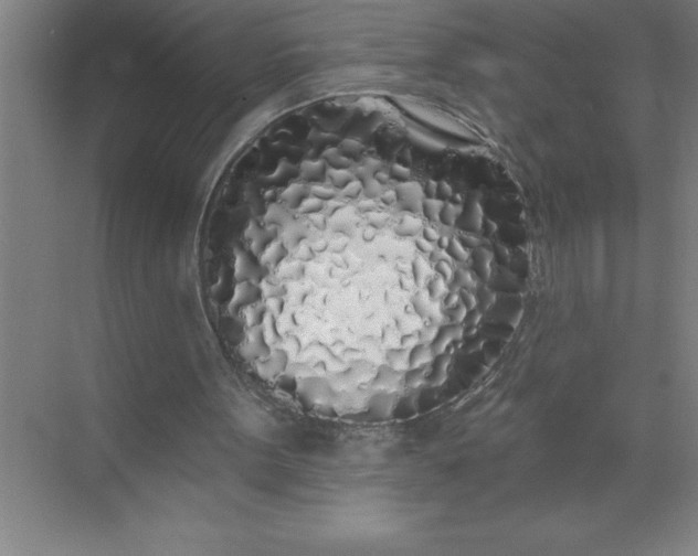 X0000072510099200607290143