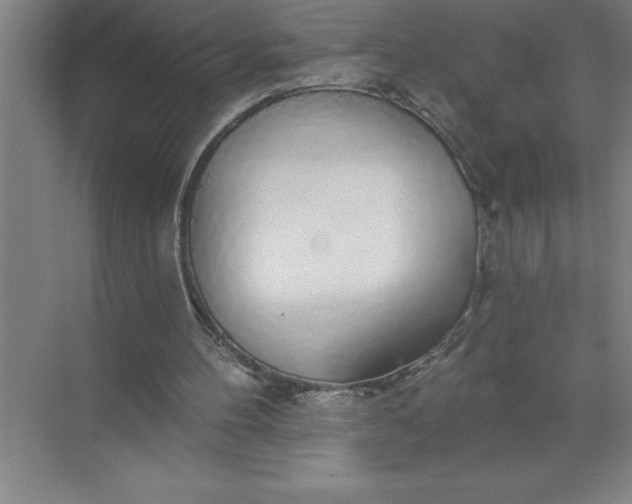 X0000072510100200607290143