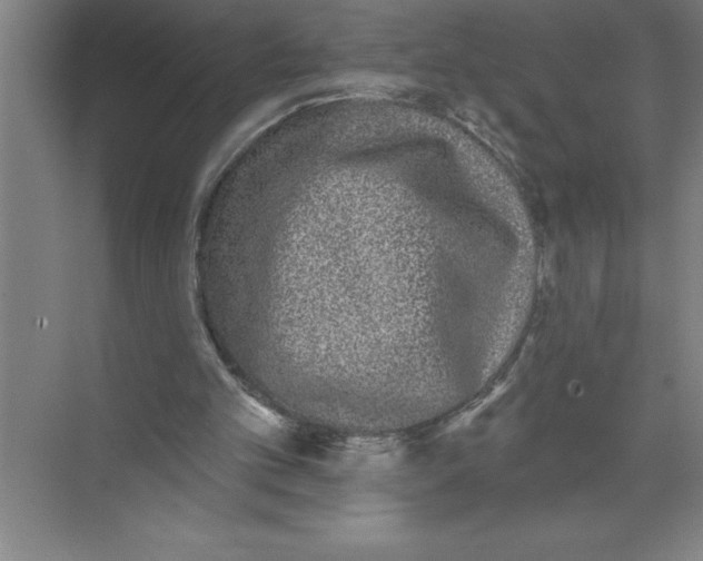 X0000072510101200607290143