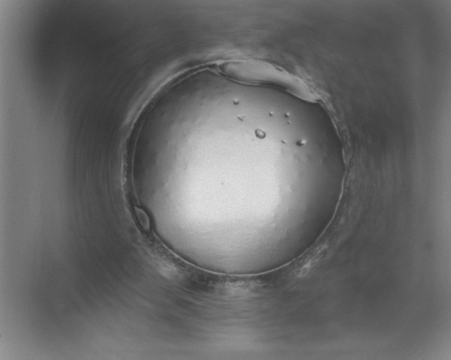 X0000072510103200607290143