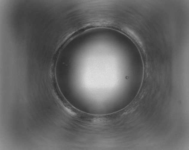 X0000072510105200607290143