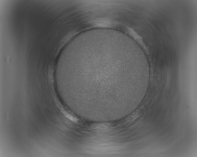 X0000072510106200607290143