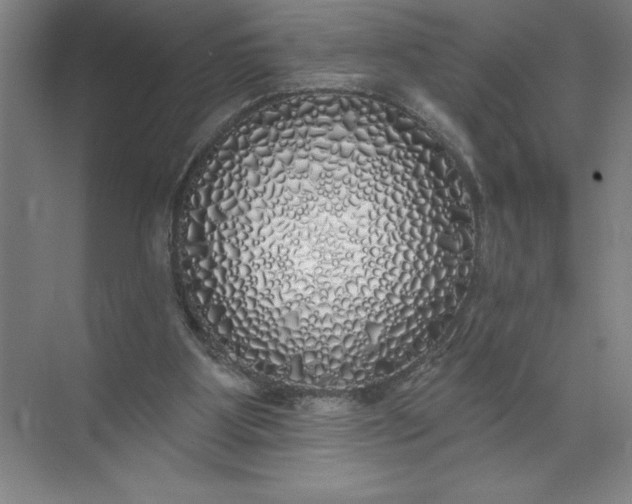 X0000072510107200607290143