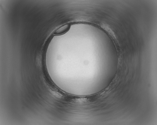 X0000072510108200607290143