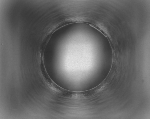 X0000072510109200607290142