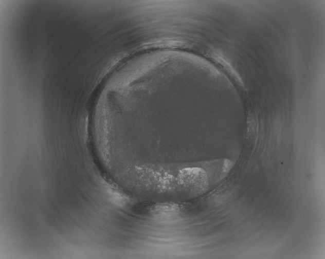 X0000072510110200607290142