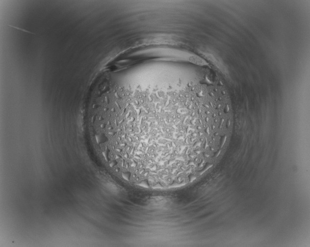 X0000072510111200607290142