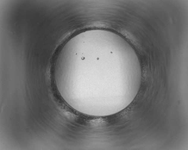 X0000072510112200607290142