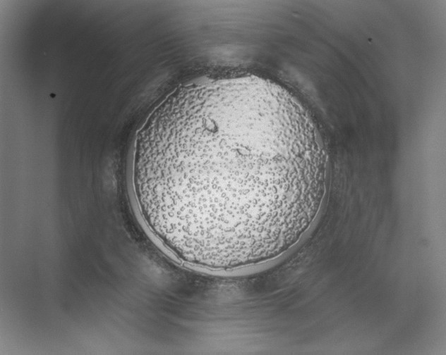 X0000072510114200607290142