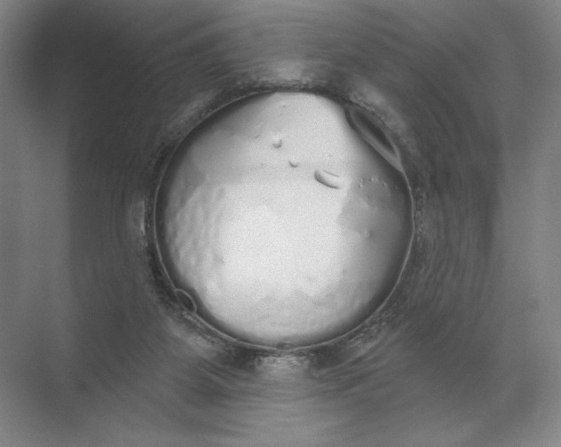 X0000072510115200607290142