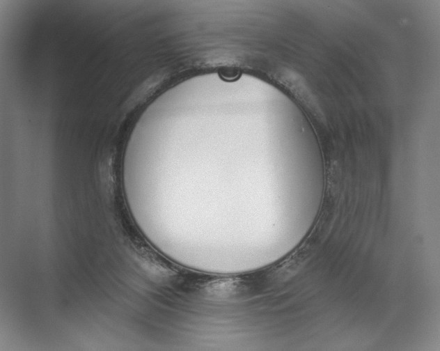 X0000072510116200607290142