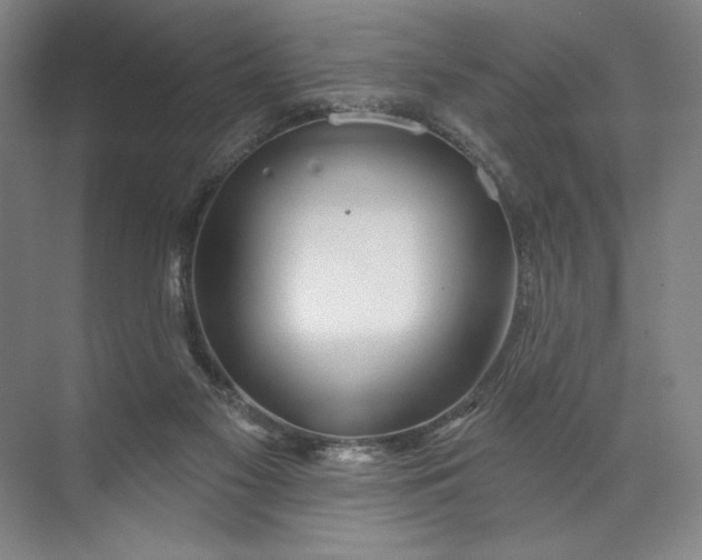 X0000072510117200607290142