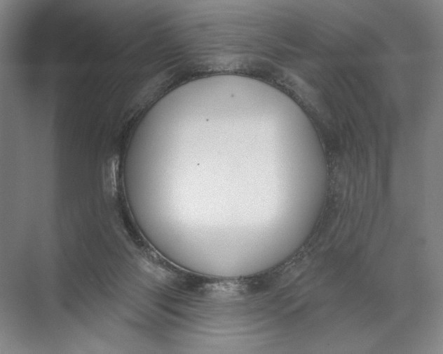 X0000072510118200607290142