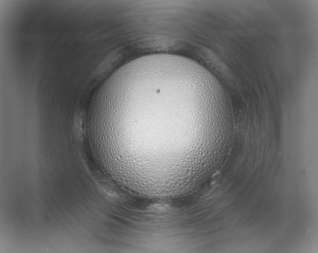 X0000072510119200607290142